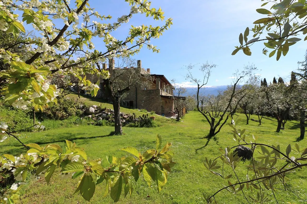 ***  La Cascata Negli Ulivi Bed & Breakfast Toscolano Maderno Italy
