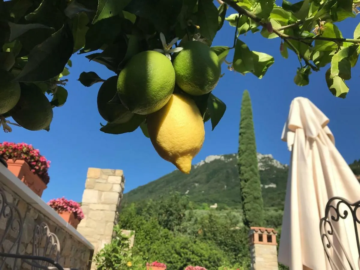 La Cascata Negli Ulivi Bed & Breakfast Toscolano Maderno 3*,