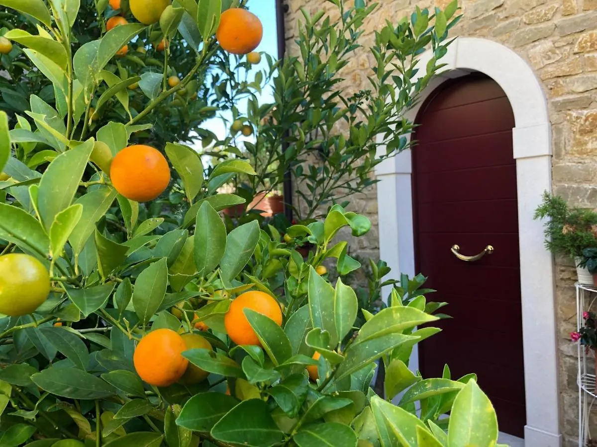 La Cascata Negli Ulivi Bed & Breakfast Toscolano Maderno